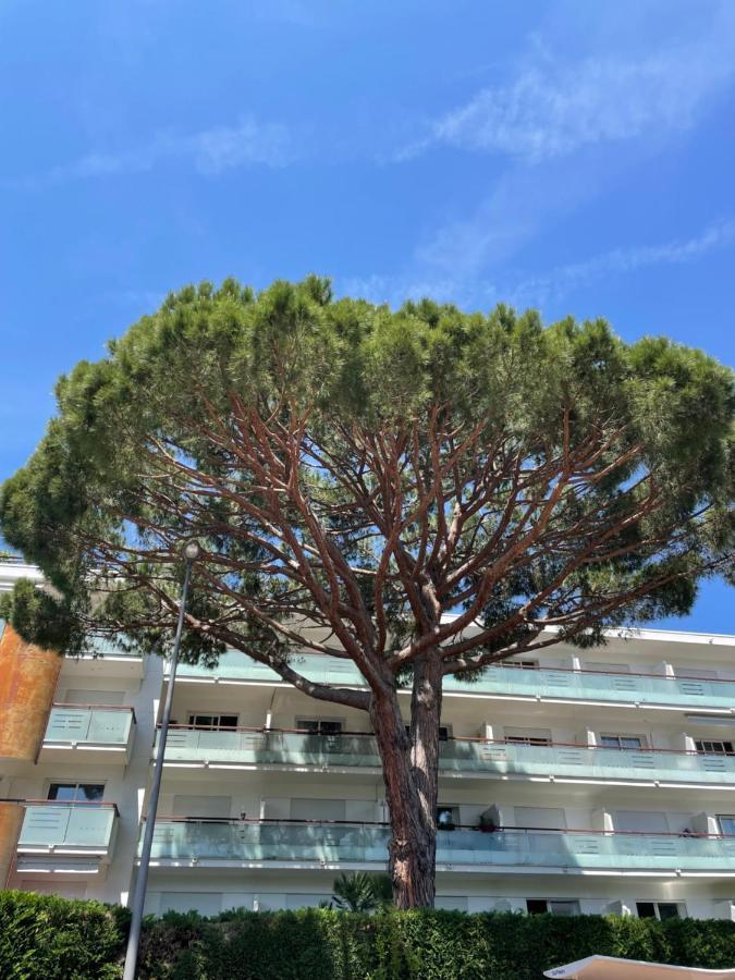 Superbe studio lumineux sur Cannes, à quelques minutes de la célèbre rue d'Antibes ! Esterno foto